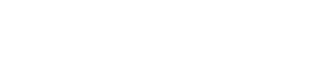 AAF-Daytona Beach logo
